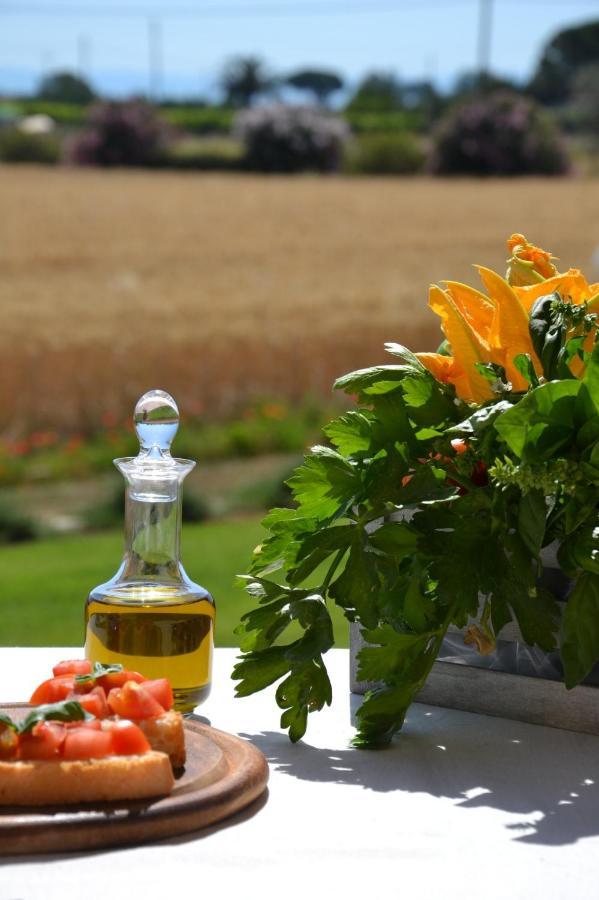 Il Vecchio Mandorlo Séjour à la ferme
