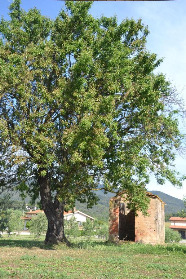 Il Vecchio Mandorlo Séjour à la ferme *