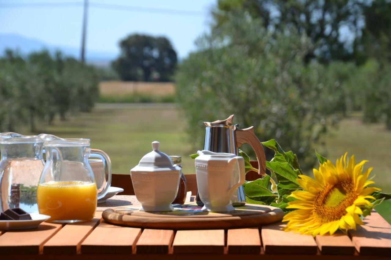 Vakantieboerderij Il Vecchio Mandorlo Castiglione della Pescaia